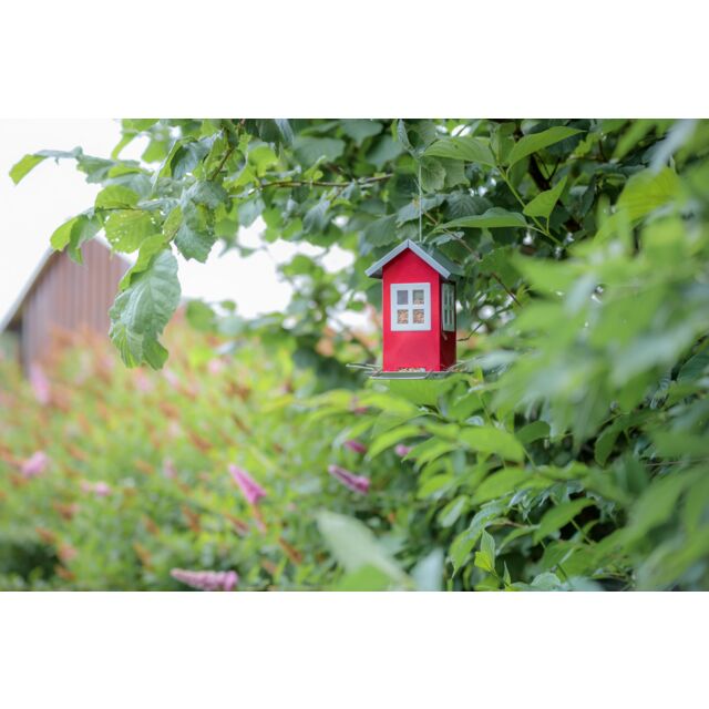 Bird Feeder