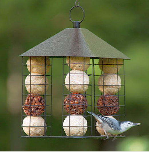Ball Feeder         
